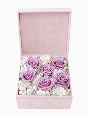 天使之心----永生花盒:厄瓜多尔进口紫色永生玫瑰